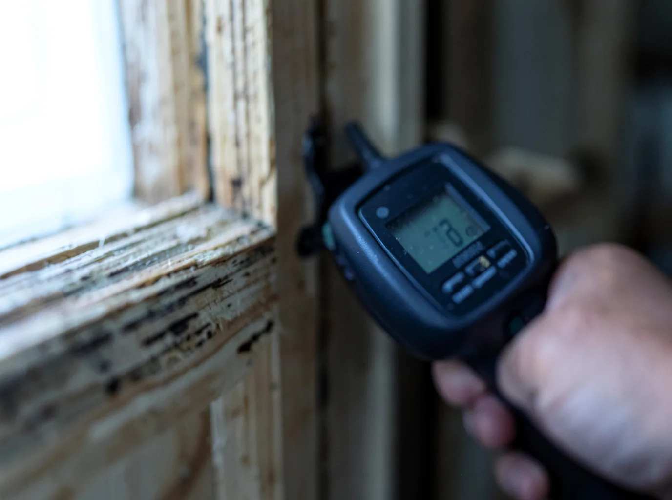 Moisture Inspection And Documentation in Campbellsburg, IN